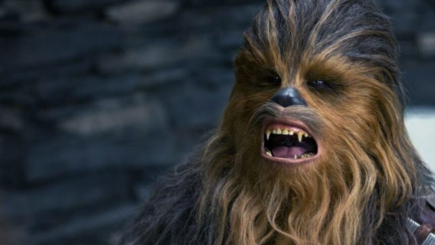 chewbacca